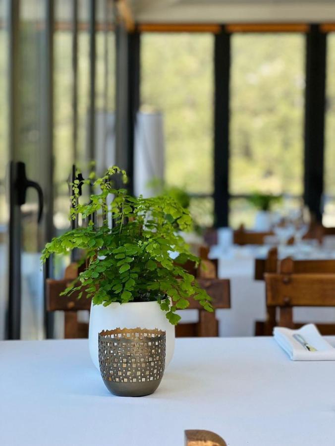 Corzo Hotel 塞尔塞迪利亚 外观 照片
